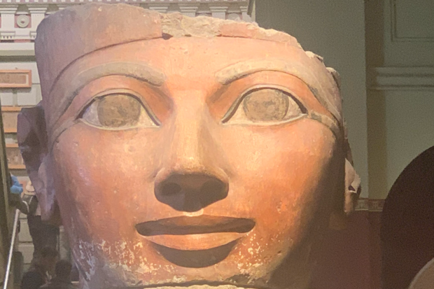 Hatshepsut, the fifth Pharaoh of the Eighteenth Dynasty of Egypt.