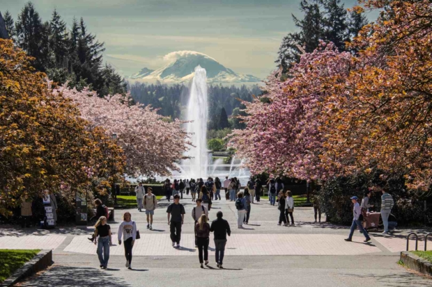 Guest house rentals for scholars in Seattle